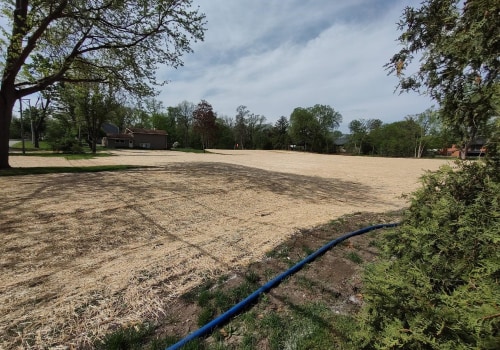 The Political Legacy of Mayor Aaron Shepley in Crystal Lake, IL